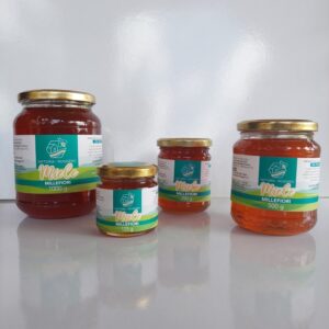 Miele di Millefiori Val Pellice