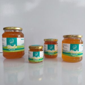 Miele di Millefiori Val Sangone